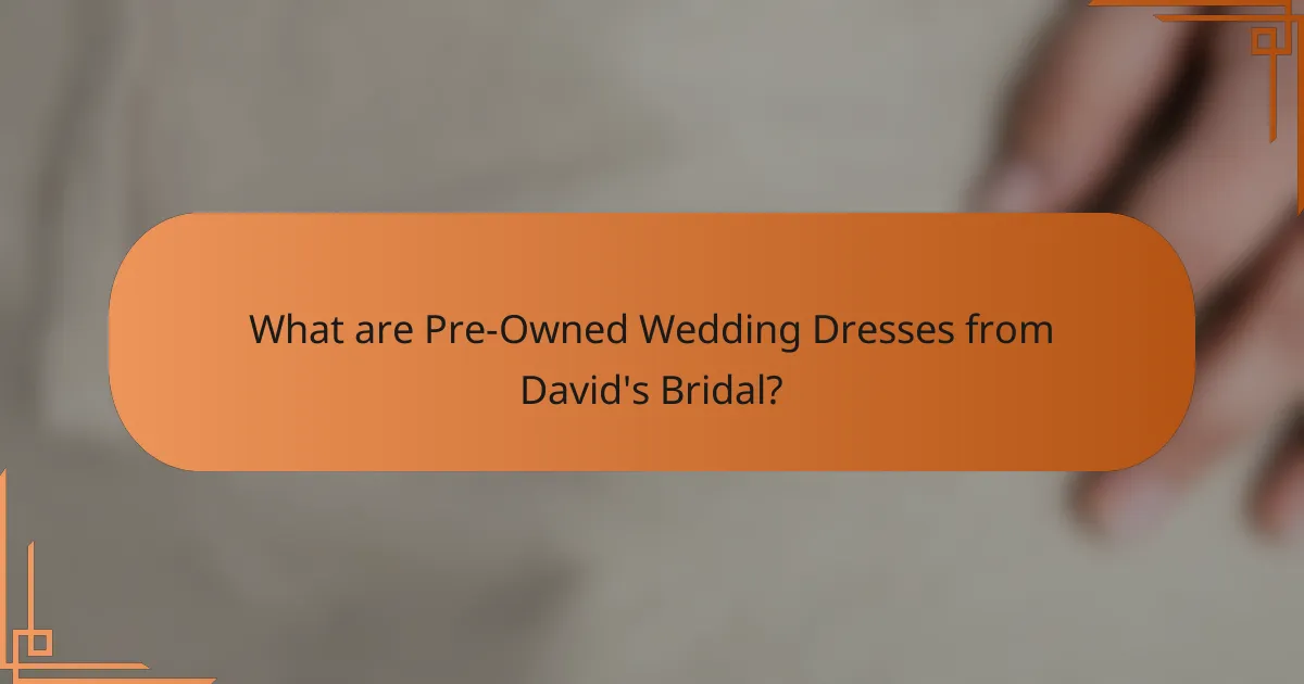 What are Pre-Owned Wedding Dresses from David's Bridal?